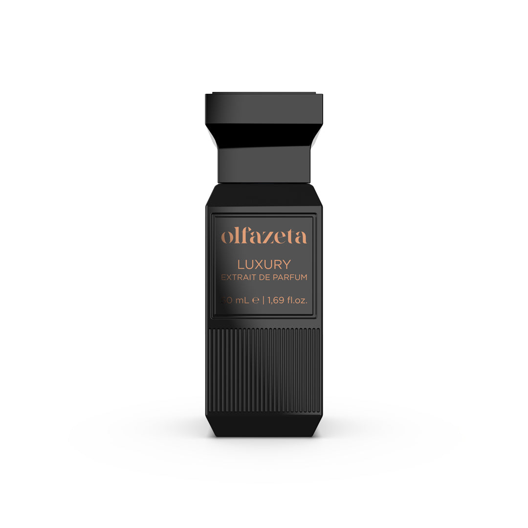 074 Parfum Homme 30% Essence de parfum offrant une tenue longue durée - CHOGAN 50 ml
